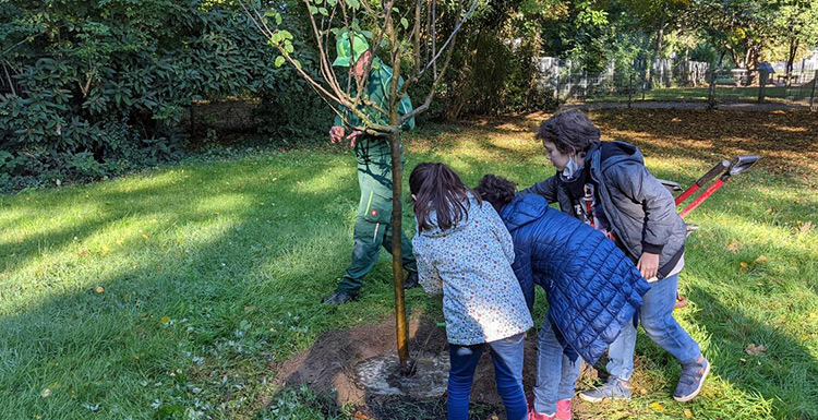 Presse: Gartenbau Ohlenhard spendet und pflanzt Apfelbaum